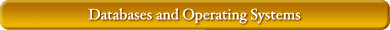 Databases and Operating Systems
