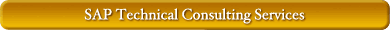 How Can We Help You?